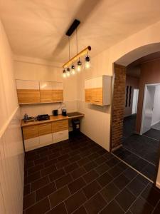 - une cuisine avec un évier et un comptoir dans l'établissement Zentrales Apartment Mehringdamm, à Berlin