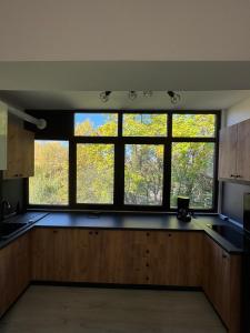 una cucina con due grandi finestre in una stanza di vApartament 2 central a Hunedoara Altre 11 foto