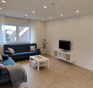 Una sala de estar con un sofá azul y un televisor. en Apartment Rina, en Villingen-Schwenningen