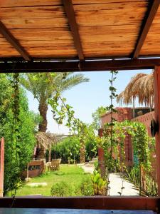 Una vista de un jardín desde un porche con columpios. en Tunis Camp, en Tunis