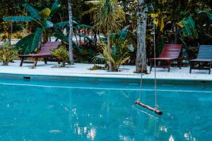 a rope swing in the water in a pool at Villa Escondida - Riviera Maya in Puerto Morelos