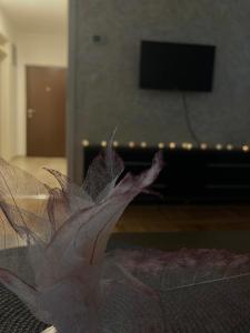 Μια τηλεόραση ή/και κέντρο ψυχαγωγίας στο Mila