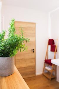 a potted plant sitting on top of a table at Ferienwohnung Repetal in Attendorn