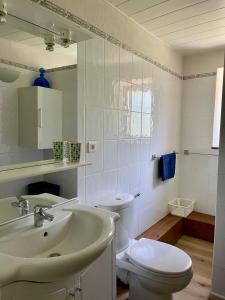 a white bathroom with a toilet and a sink at Gites Ardoise et Girolle Formiguères in Formiguères +17 photos