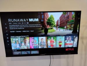 Televiisor ja/või meelelahutuskeskus majutusasutuses Apartment Charkovska