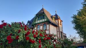 a large house with a flowering bush with red roses at Villa Daries - Ferienwohnung mit eigenem Müritzstrand in Waren