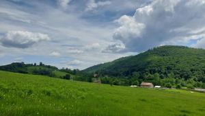 Fotografie z fotogalerie ubytování Casa Mario v destinaci Isverna + 15 fotografií