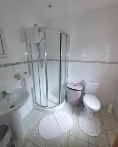 ein Badezimmer mit Dusche, Toilette und Waschbecken in der Unterkunft Drumgart Self Catering Cottage in Carrickfergus + 11 Fotos
