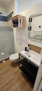 ディエップにあるLes toits de Dieppe - appartement en plein cœur du centre villeの洗面台、トイレ、鏡のあるバスルーム