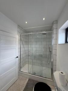 Koupelna v ubytování Detached 4 bed House - Brecon Beacons National Park + 9 fotografií