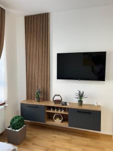 Μια τηλεόραση ή/και κέντρο ψυχαγωγίας στο DivčiNova Cerovac