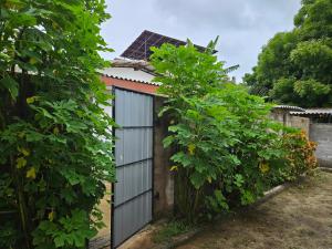 Zahrada ubytování Saraswathy Inn