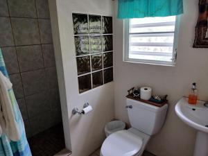 a bathroom with a toilet and a sink at Casa de Tortuga Guesthouse in Vieques