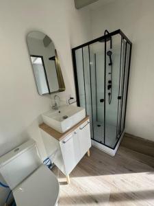 ein Badezimmer mit Toilette, Waschbecken und Dusche in der Unterkunft Petite maison indépendante avec parking in Vétheuil + 9 Fotos