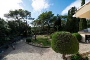 Villa Son Sera室外花園 +74 張相片