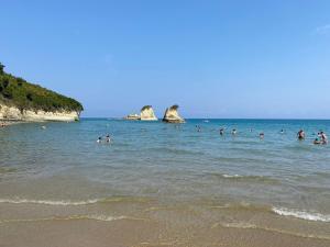 a group of people in the water at the beach at olivegrove in Sidari
