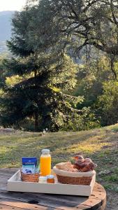 リオ・セバージョスにあるAires Verdesの食べ物とオレンジジュースのトレイ