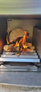 a fire in an oven with a log on top at Cascade - Gîte pour 2 personnes in La Salvetat
