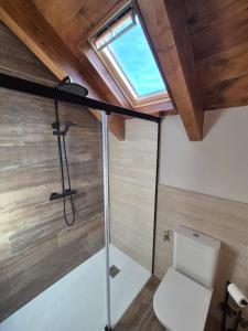 a bathroom with a toilet and a skylight at Alojamientos Ruraltena in Piedrafita de Jaca +74 photos