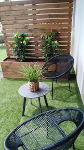 two chairs and a table with a plant on a patio at Love Room - Cocon Room - Toulon - Ollioules in Ollioules +22 photos