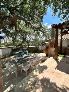 a patio with a table and chairs under a tree at Refúgio da Águia in Montargil