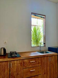 a kitchen counter with a sink and a window at Uma Sindu Homestay in Sanur