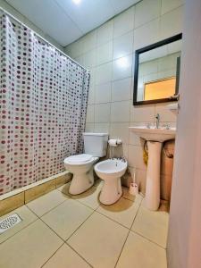 a bathroom with a toilet and a sink at Güemes 4 in General Roca