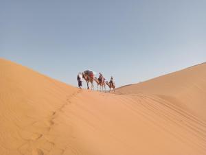 a group of camel riders walking up a sand dune at Canadien camp merzouga in Merzouga