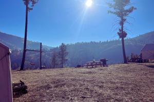 a field with a picnic table and a tree at Tent 2 Oxen-Le-Fields Montana in Conner +2 photos
