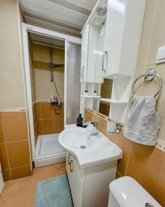 a bathroom with a sink and a shower and a toilet at Calvin Apartment 10 in Ohrid