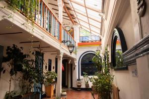 ボゴタにあるCasa Tsaoの植物のある屋内中庭