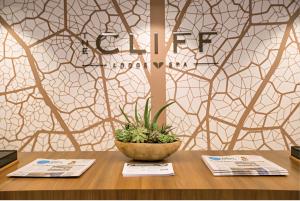 a table with a plant in a bowl on it at Ski-In Ski-Out - The Cliff @ Snowbird in Sandy +4 photos