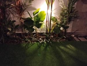 Kutus Bali Guesthouse外面的花园