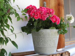Gallery image of in the holiday home Vorbergblick in Reichersbeuern +13 photos