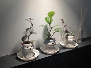 Fotografie z fotogalerie ubytování 宜蘭頭城多一點民宿 v destinaci Toucheng