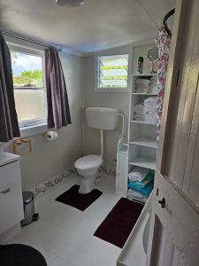 Gallery image of The Pipi Cottage in One Tree Point