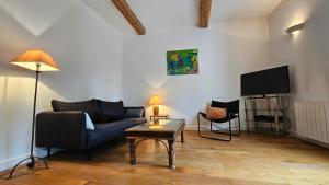 Televízia a/alebo spoločenská miestnosť v ubytovaní Maison vigneronne 8p / jardin / parking