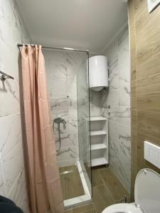 Kúpeľňa v ubytovaní Apartman Emilija