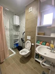 Kúpeľňa v ubytovaní Apartman Emilija