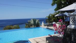 a swimming pool with the ocean in the background at Anda Amed Villas & Spa in Amed