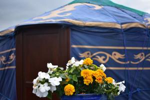 Bilde i galleriet til Doolin Glamping i Doolin