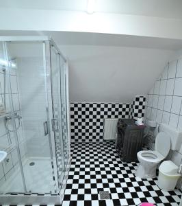 a bathroom with a black and white checkered floor at Casa de vacanta Satic Piatra Craiului La Doi viermi in Satic +29 photos