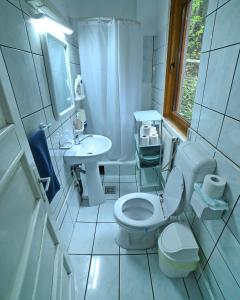 a white bathroom with a toilet and a sink at Casa de vacanta Satic Piatra Craiului La Doi viermi in Satic