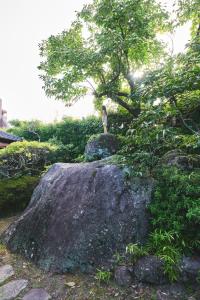 度假屋周边自然景观