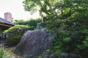度假屋周边自然景观