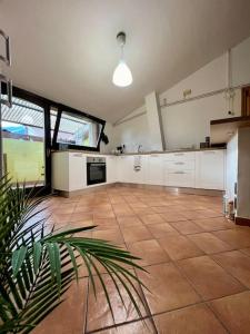 eine große Küche mit weißen Schränken und einer Pflanze in der Unterkunft Casa Sopra in Castel di Sangro