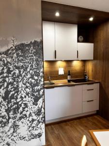 Kuchyň nebo kuchyňský kout v ubytování Avoriaz le M1212