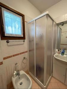 un bagno con doccia e lavandino di Appartamento Edera ad Aprica