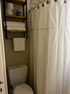 a bathroom with a toilet and a shower curtain at Relax Guemes in Mar del Plata