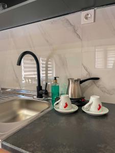 Kuchyň nebo kuchyňský kout v ubytování Hotel Berr + 37 fotografií